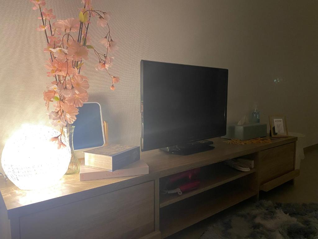 TV o dispositivi per l'intrattenimento presso THE MOON Atami