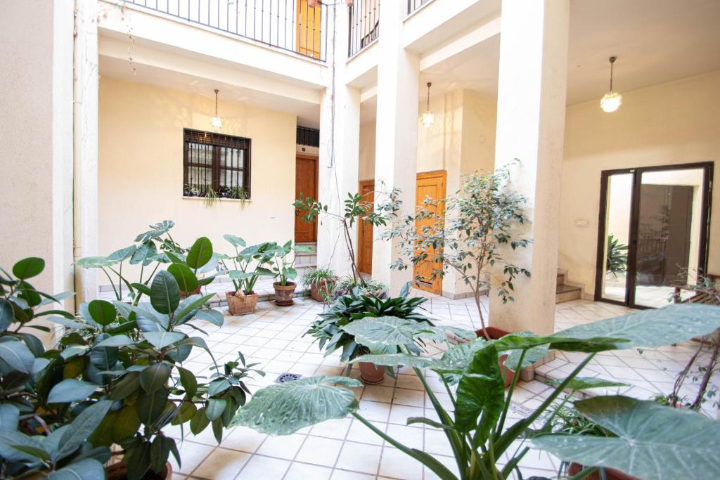 Vonkajšia záhrada v ubytovaní Elvira 54 Apartment