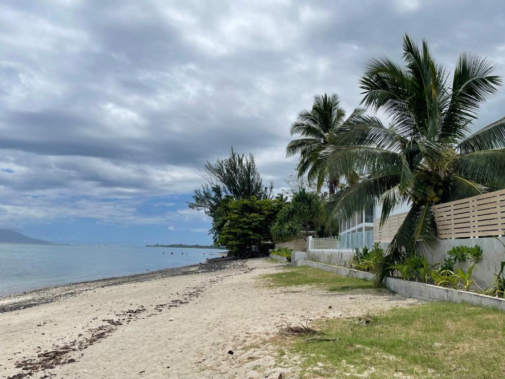 Ananahi plage, Paea - photo 10 - Tahiti, Polynésie