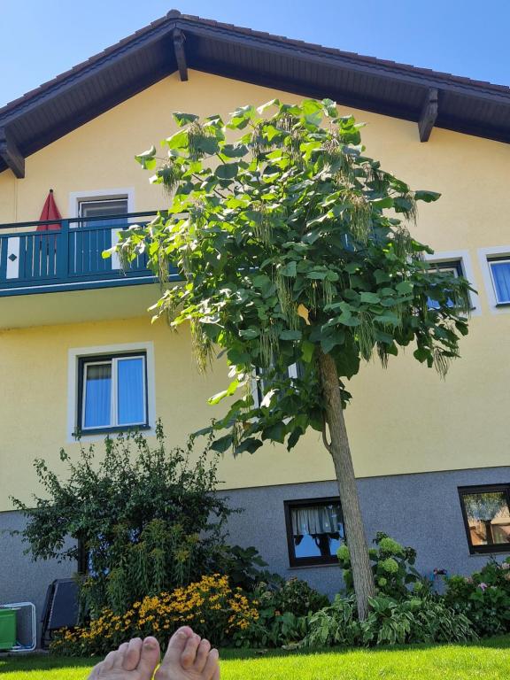 um par de pés na frente de uma casa com uma árvore em Ferienwohnung am Stadtrand em Sankt Pölten