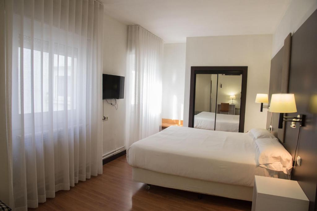 a hotel room with a bed and a television at Hotel Delta in Tudela