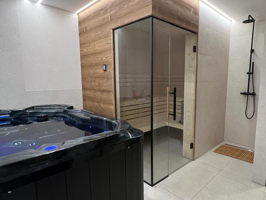 Alpina Residence & Kameralne SPA - 2