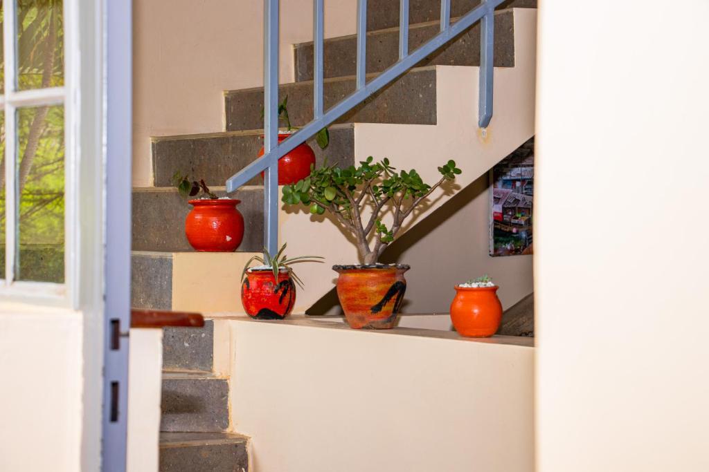 Fotografie z fotogalerie ubytování Acacia Tree Lodge v destinaci Nairobi