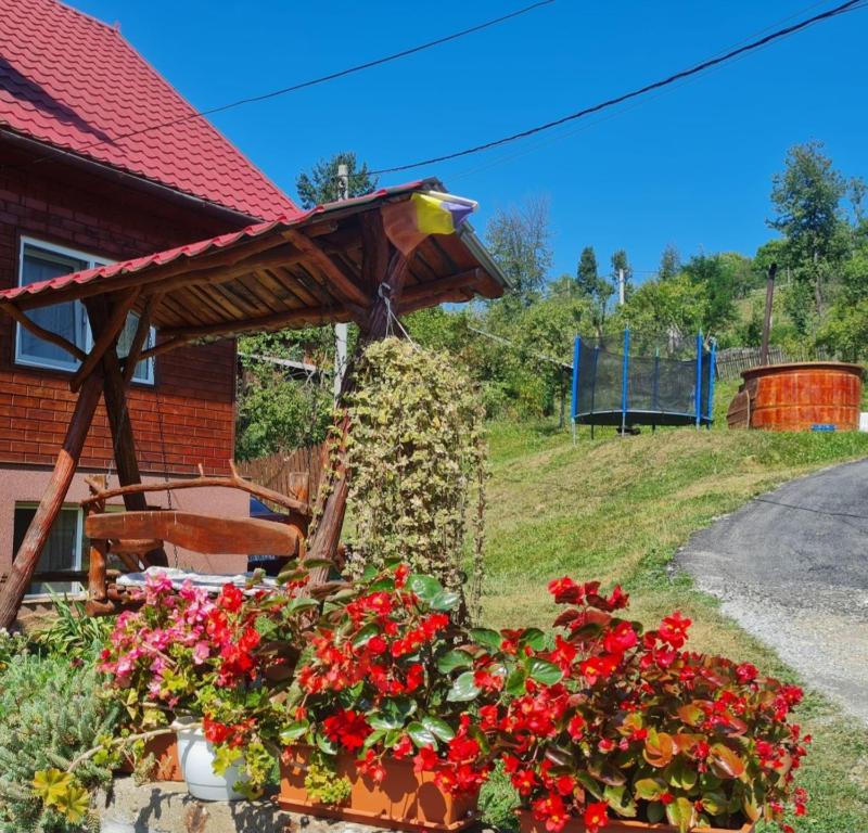 Budynek, w którym mieści się domek letniskowy