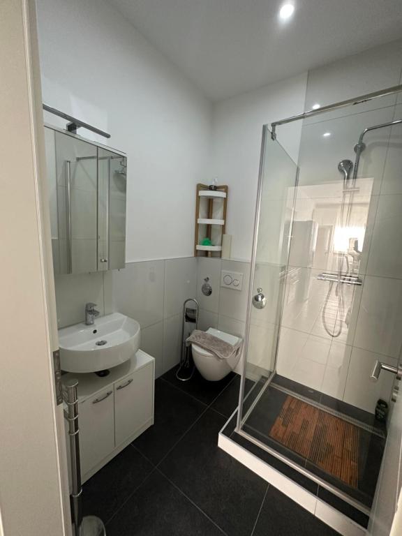 a bathroom with a shower and a sink and a toilet at Heidelberg Apartments in Heidelberg