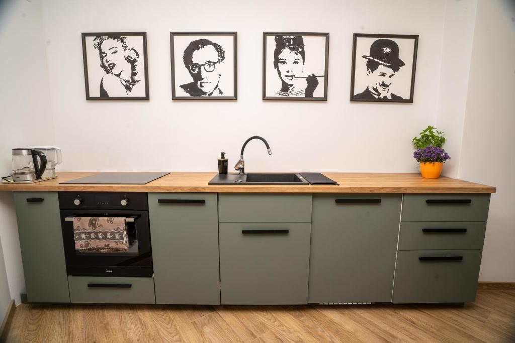 una cocina con fregadero y algunas fotos en la pared en Domek w Antoninie en Antonin