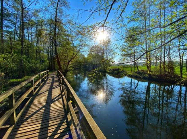 un ponte su un fiume con il sole che riflette nell'acqua di Tiny Haus Park Fritzlar a Fritzlar