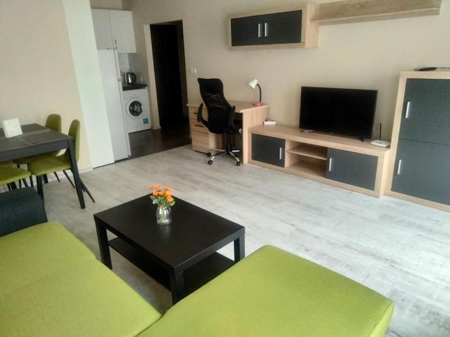 Luxury Apartment Daniel