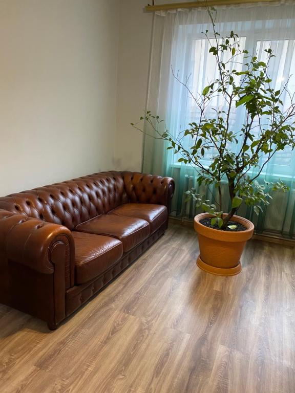 - un canapé en cuir brun dans un salon avec une plante dans l'établissement Apartment Bograch, à Moukatcheve