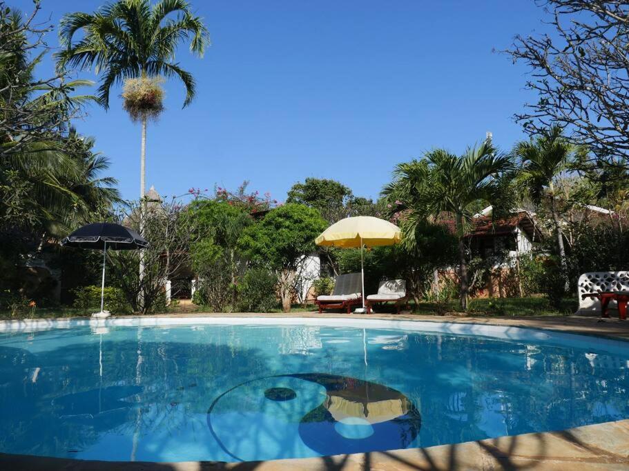 - une piscine avec un parasol et deux parasols dans l'établissement Cozy Cat House, à Diani Beach