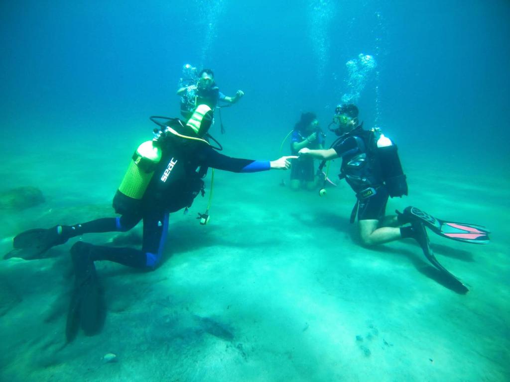 Il Vico del Greco B&B - 9