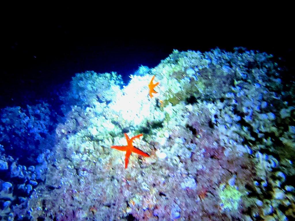 Il Vico del Greco B&B - 12