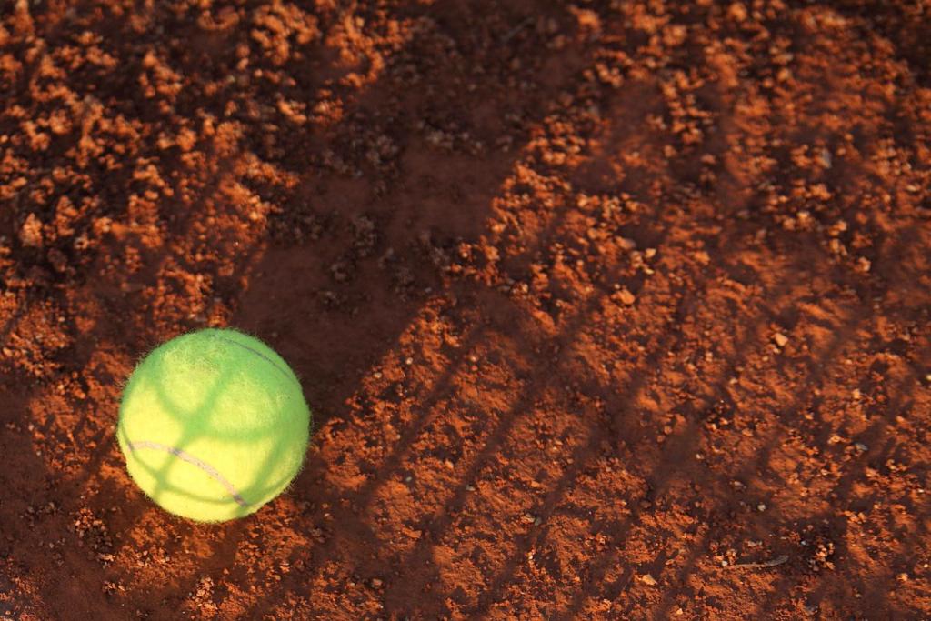 Instalaciones para jugar a tenis o squash en Hotel Danubia Park o alrededores