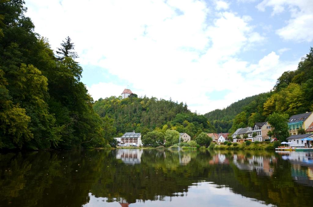 a view of a river with houses and a town at Hotel Am Schlossberg in Ziegenrück