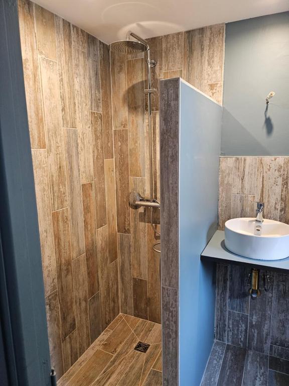 a bathroom with a sink and a shower at Chambres d&#39;hôtes Le Montagné in Villeneuve-lès-Avignon