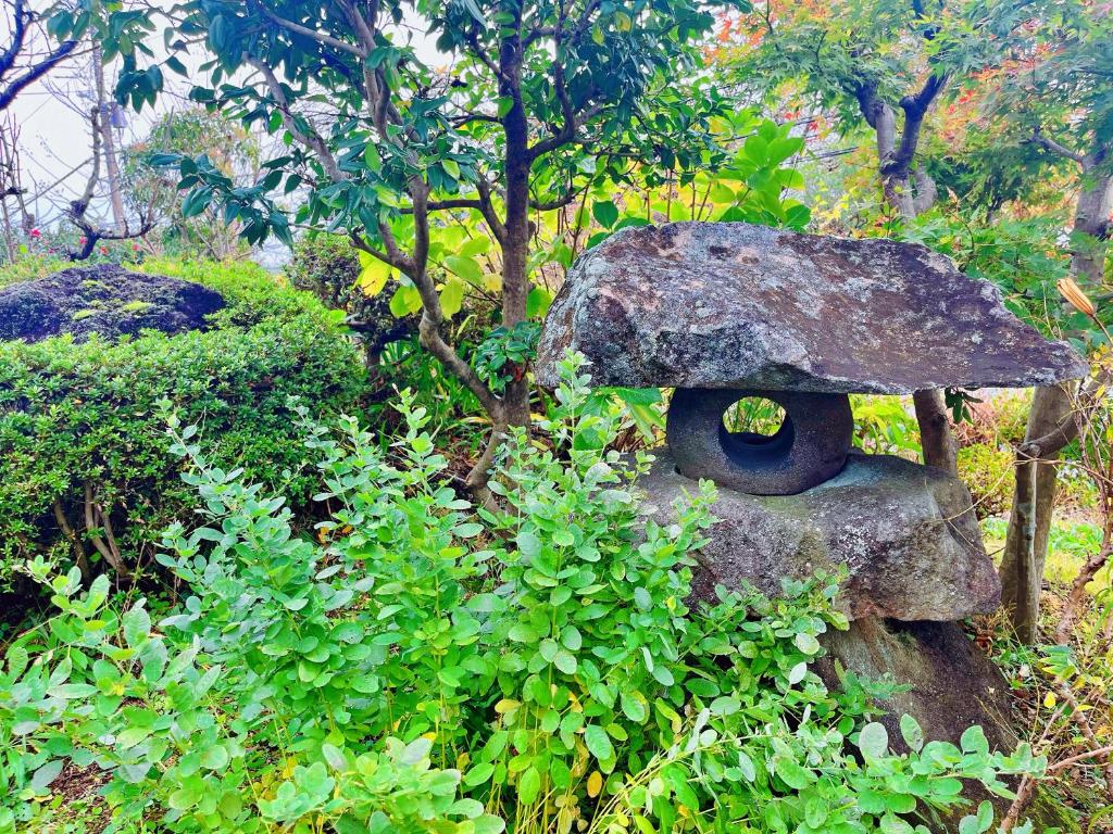 Zahrada ubytování 貸別荘花摘里　伊豆高原