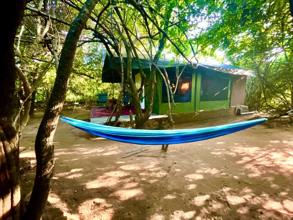 Zahrada ubytování Yala Eco Bush Camp