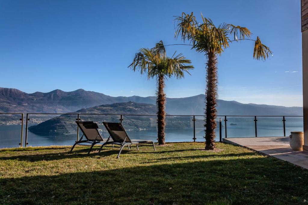 dos palmeras y dos sillas en el césped en MIA ISOLA with lake view, garden and swimming pool en Parzanica