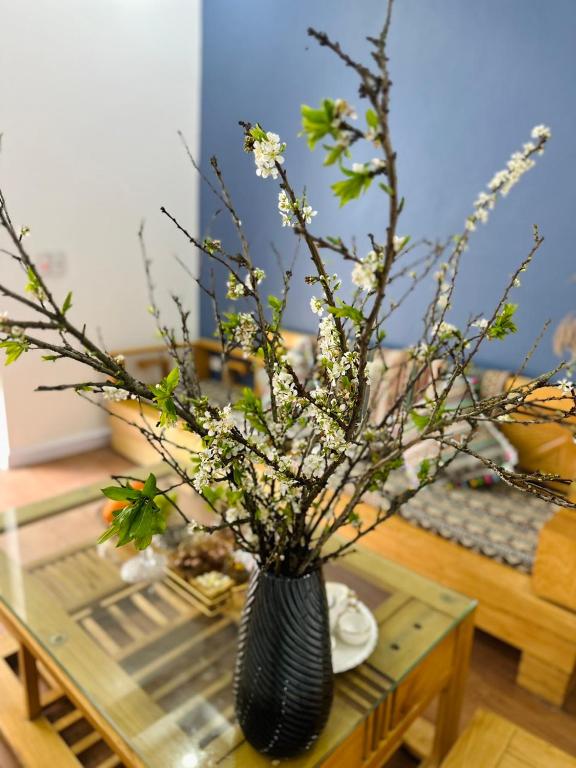 Cá Homestay-Cao Bằng - 12