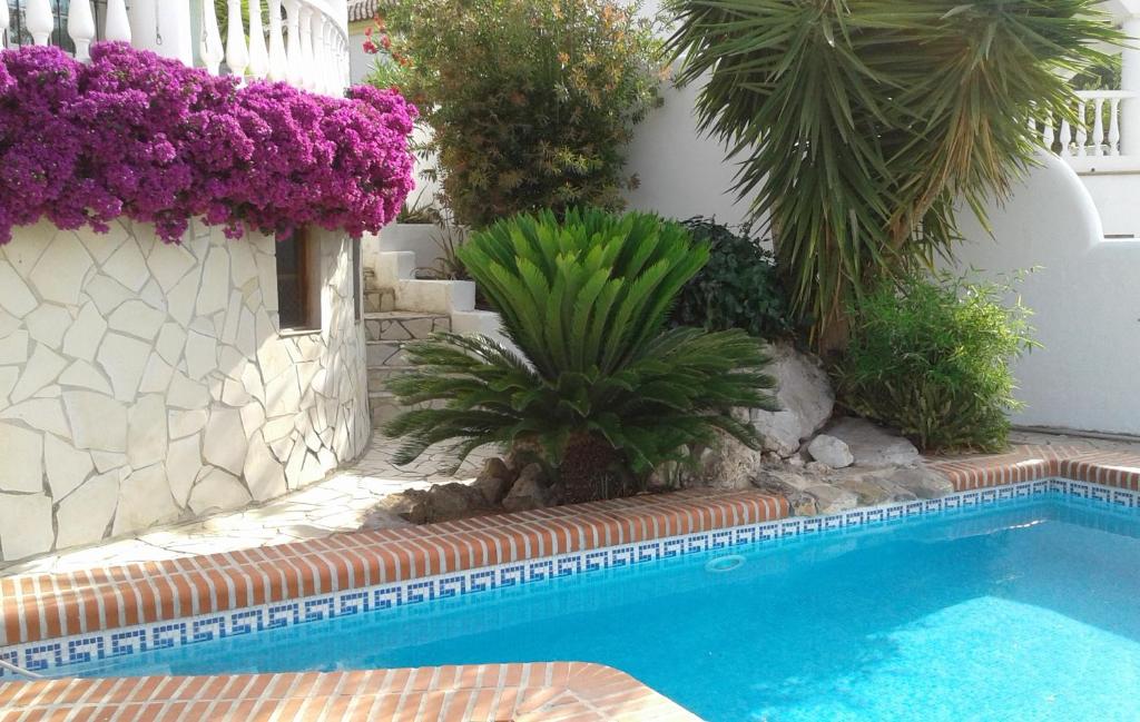 een zwembad met planten en paarse bloemen bij Villa Las Campanas in Periana