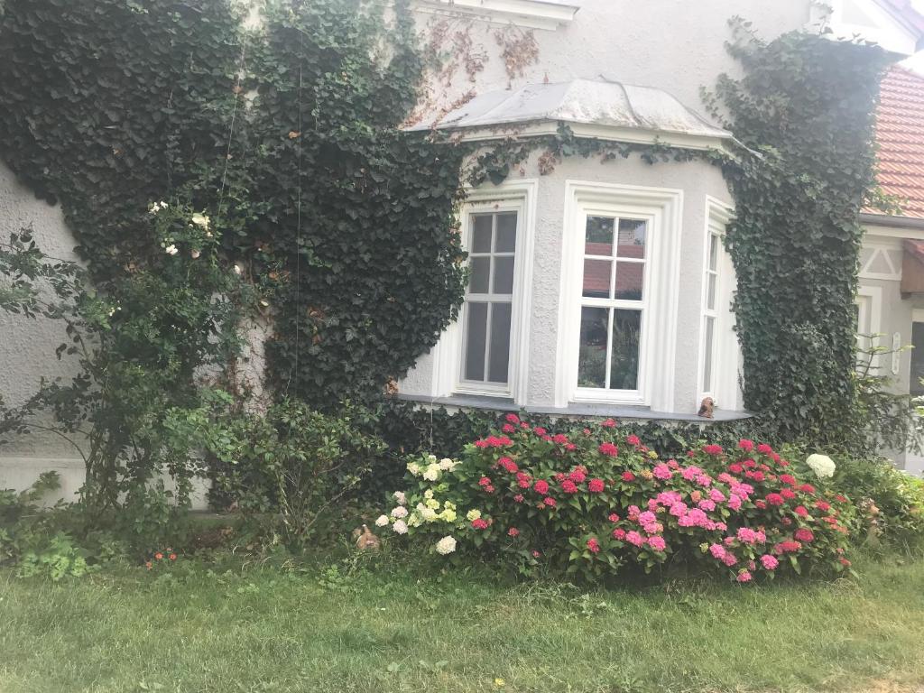 Ein Haus mit einem Fenster und einem Blumenstrauß in der Unterkunft Prvorepublikový dům se zahradou in Podivín