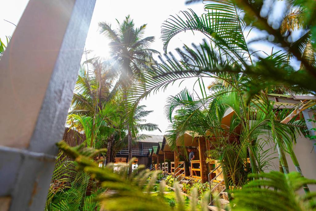 Zahrada ubytování Agonda Serenity Resort
