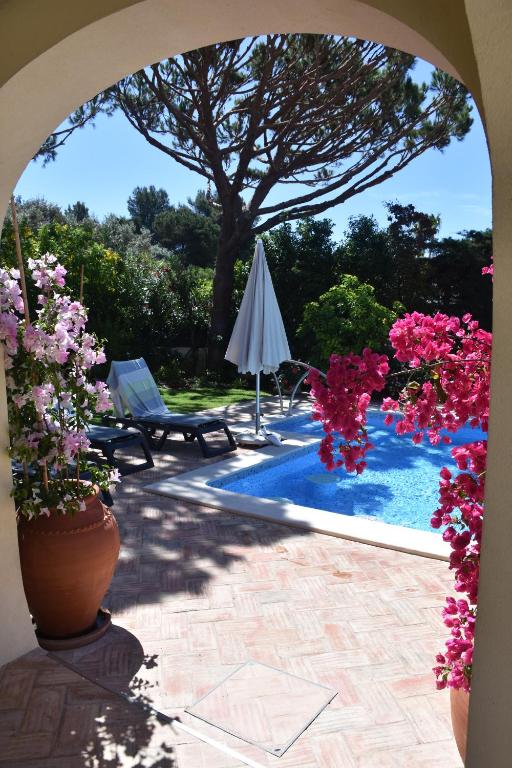Bazén v ubytování Beach villa Casa de Amanhã 450 mts to the beach with beautiful garden and heated saltwater pool nebo v jeho okolí