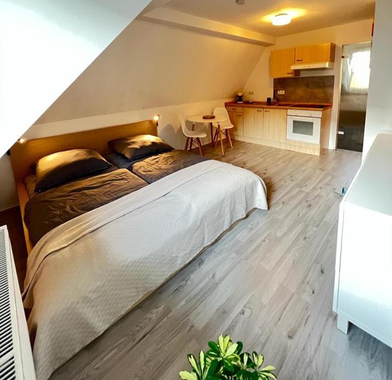 a bedroom with a large bed and a kitchen at Ferienwohnung in Hürth bei Köln in Hürth