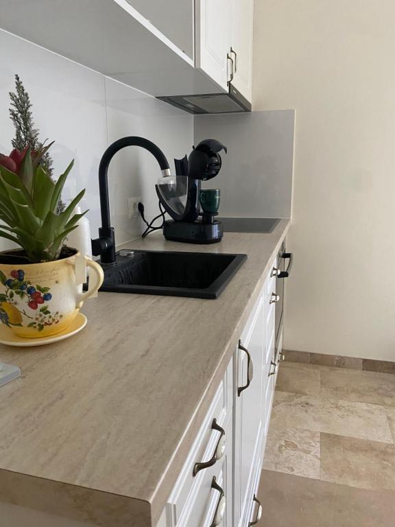Kuchyň nebo kuchyňský kout v ubytování Apartament Timisoara 5