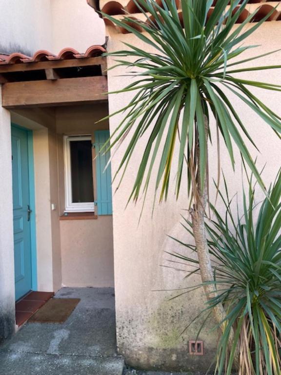 un palmier à côté d'un bâtiment avec une porte bleue dans l'établissement Carro, proche de la mer, appartement 2 chambres, à Martigues