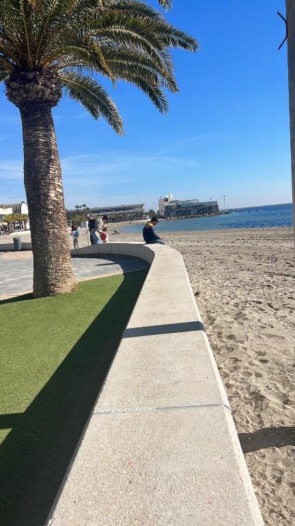 um passeio junto a uma praia com uma palmeira em Casa Riad Amor Marrakech en Lo Pagan em San Pedro del Pinatar