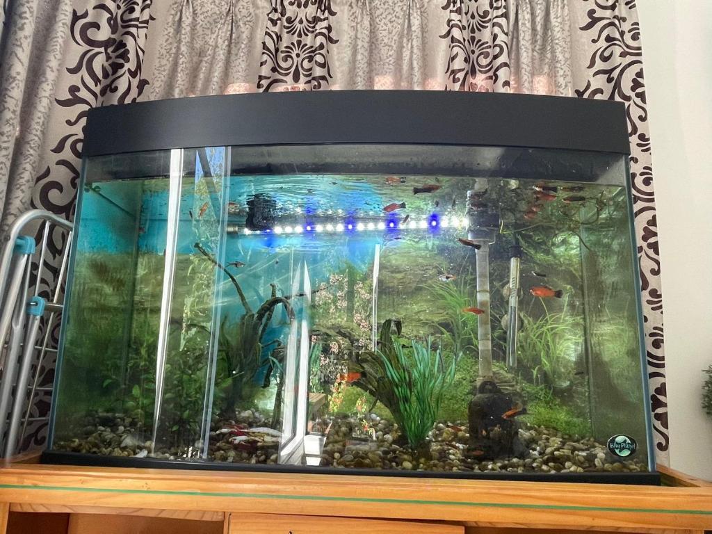 Home in Church corner - Resim 17