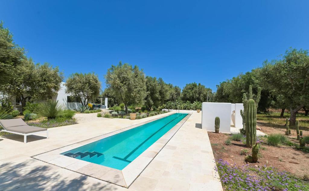 une piscine dans un jardin avec un banc et un cactus dans l'établissement Villa Olivida con piscina a sfioro, à Ostuni