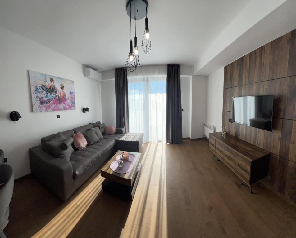 a living room with a couch and a flat screen tv at Golden Mountain Apartments in Zlatibor