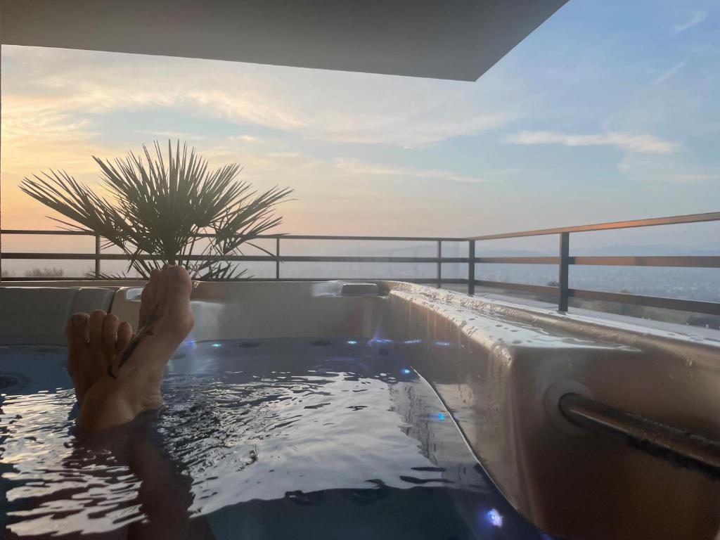 Luxury penthouse with Kosice view في كوشيتسه: شخص في حوض جاكوزي فيه نخلة