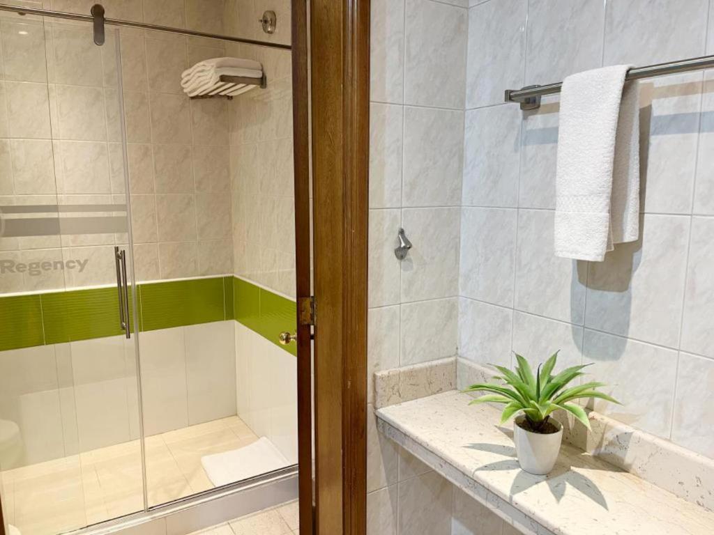 Koupelna v ubytování Hotel Bogotá Regency Usaquén