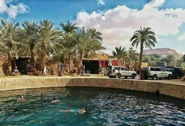 grupa ludzi pływających w basenie z palmami w obiekcie Five oasis desert camp w mieście Az Zabū