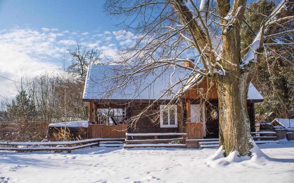 Grenlanda - Huis Met één Slaapkamer