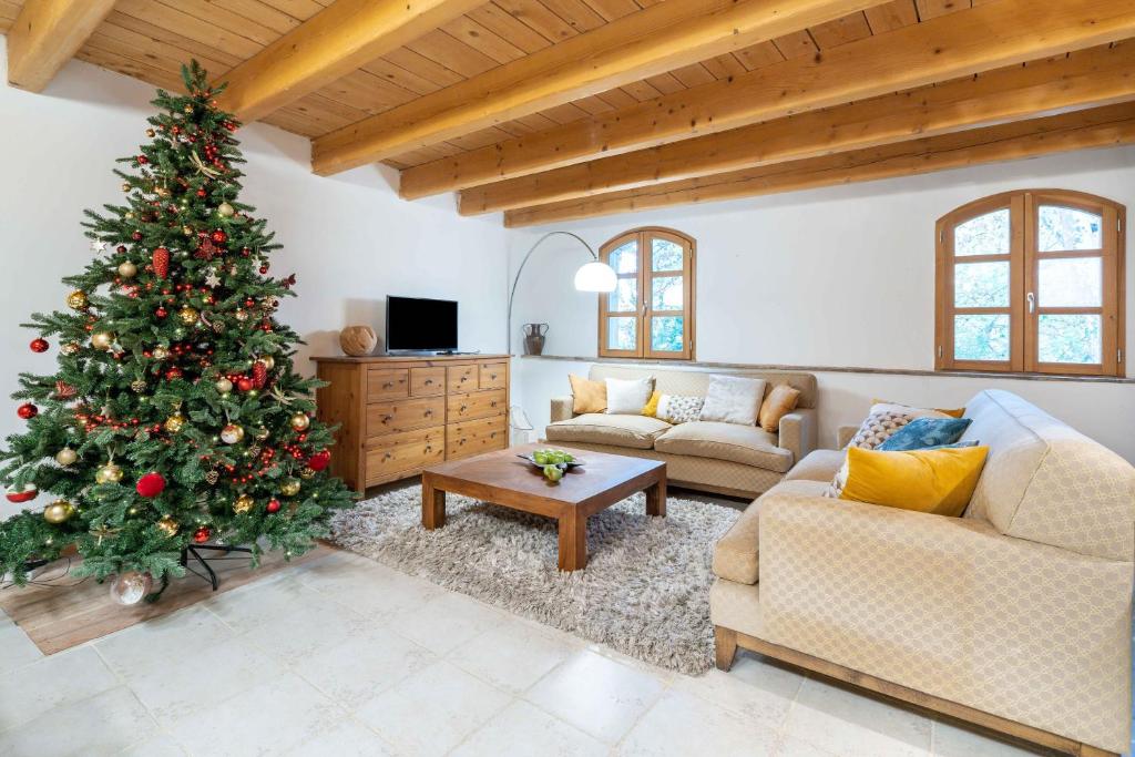 - un salon avec un arbre de Noël et un canapé dans l'établissement Le Relais de Bellemaison, à Montfrin