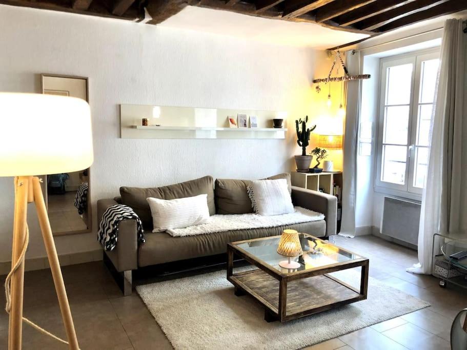 a living room with a couch and a coffee table at Appartement au cœur de Paris /quartier Montorgueil in Paris