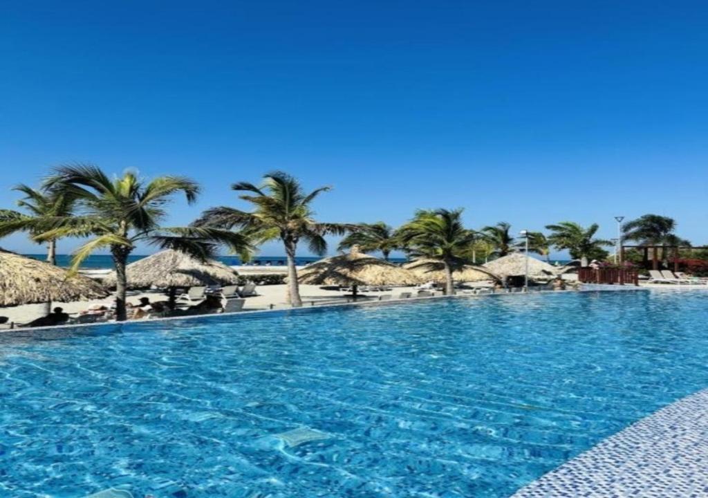 una gran piscina con palmeras y sombrillas en Best Luxury Samaria, en Santa Marta