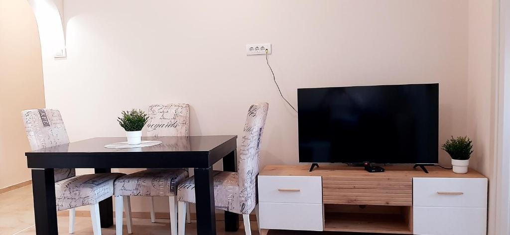 TV a/nebo společenská místnost v ubytování Apartman Studenjak