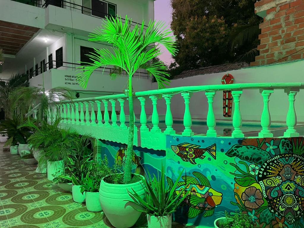 uma fila de plantas de vasos verdes em frente a um edifício em Hotel CAB DE TOLU em Tolú