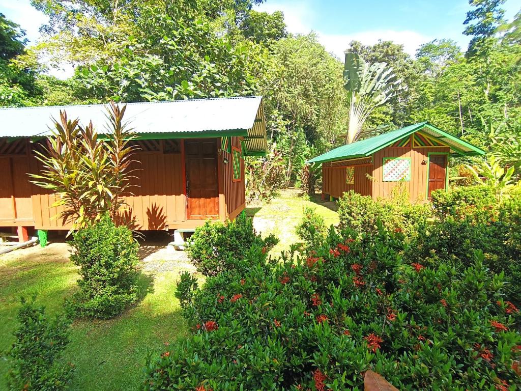 Fotografie z fotogalerie ubytování Alouatta Lodge and Canopy v destinaci Cahuita