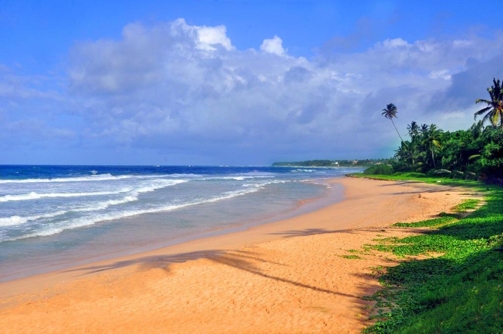 a beach with a palm tree and the ocean at The Beach Cabanas Retreat & Spa in Koggala