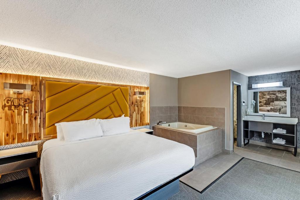 The Wander Hotel by Wyndham photo