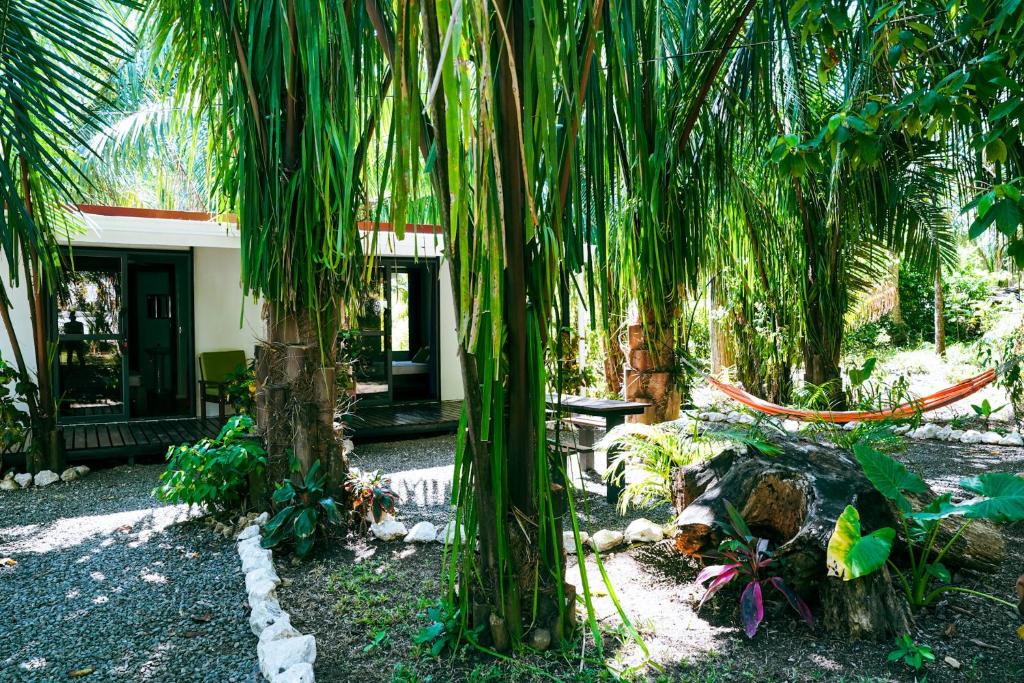 Zahrada ubytování House in the palm forest
