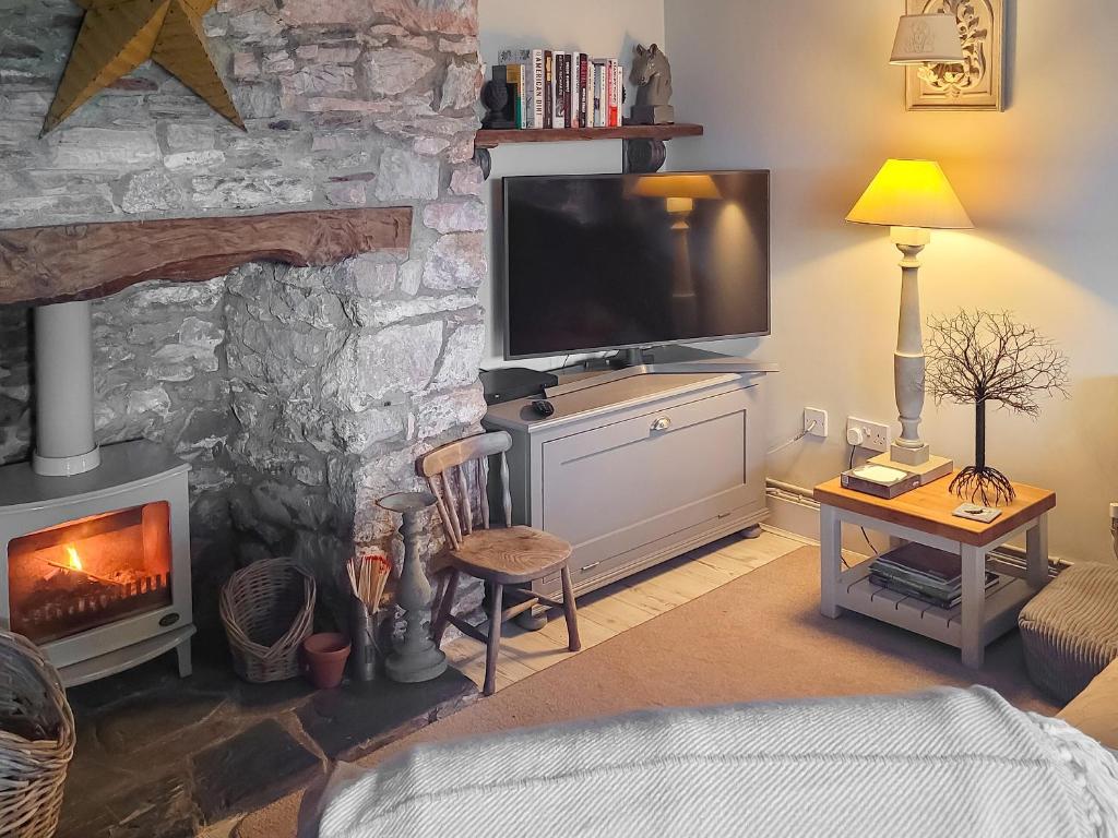 a living room with a television and a fireplace at Rose Cottage in Stoke Gabriel