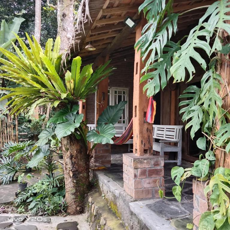 Un jardín fuera de Villa Mak Cik