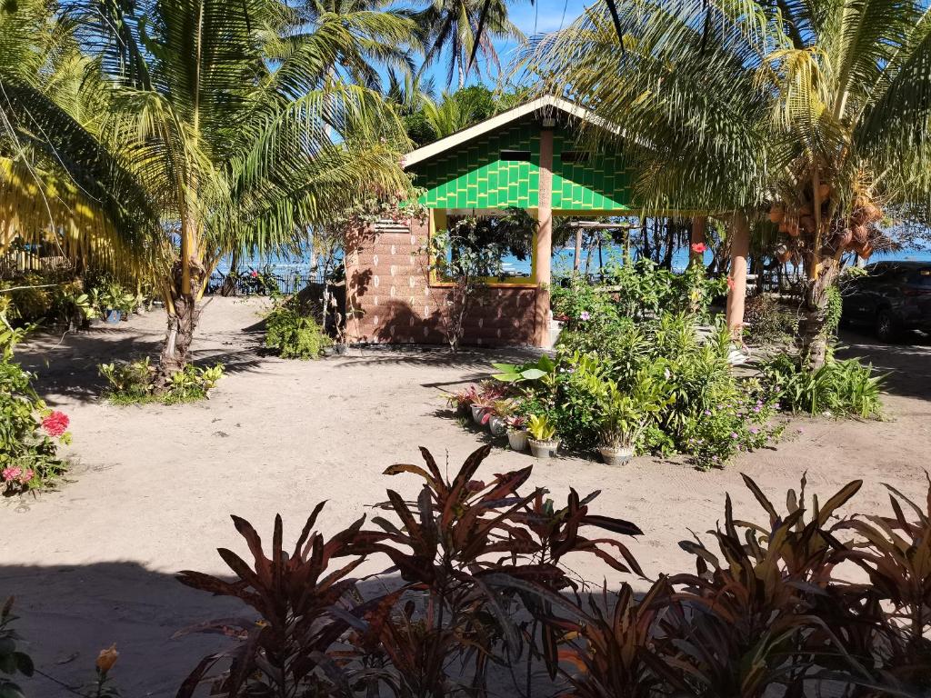 un piccolo edificio sulla spiaggia con palme di Carmelita Beach Homestay a El Nido